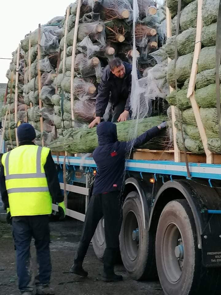 christmas tree supplier