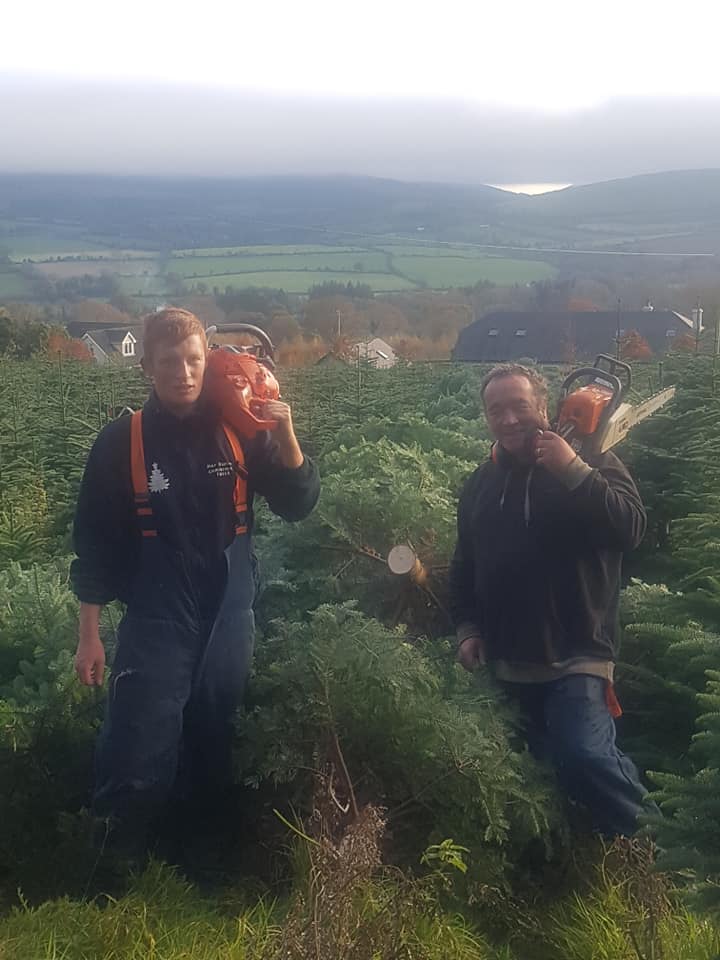 premium christmas tree supplier